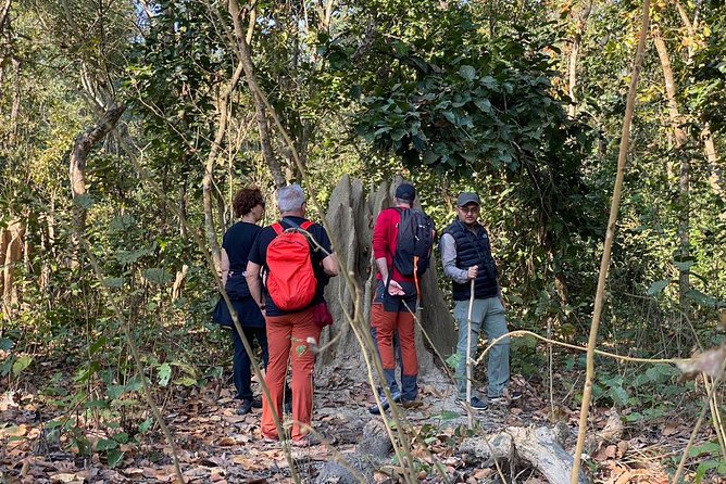 1 Night 2 Days Chitwan Jungle Safari Tour from Kathmandu - The morning jeep safari: making the most of your wildlife window