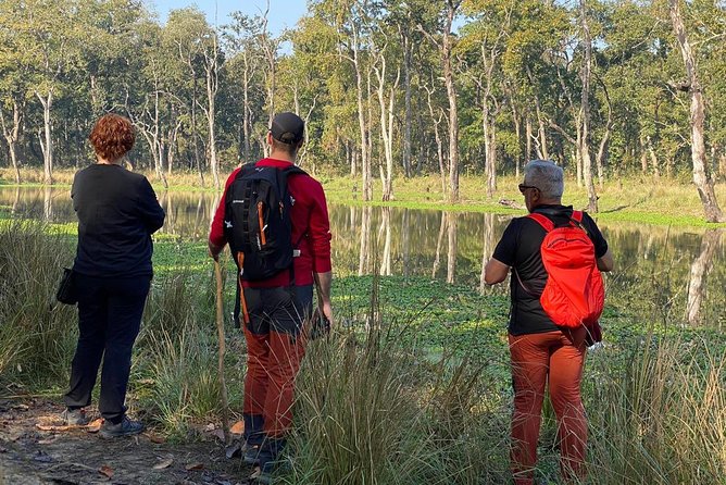 1 Night 2 Days Chitwan Jungle Safari Tour from Kathmandu - Should you book this Chitwan Jungle Safari tour?