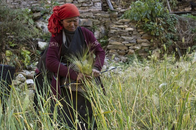 10 Days Manaslu Circuit Trek in Larke La Pass - Day-by-day trek: from Machha Khola to the Larke La approach