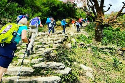 11-Day Hike Tour to Annapurna Base Camp Bliss in Kathmandu - Kathmandu to Pokhara: setting your body up for the trek