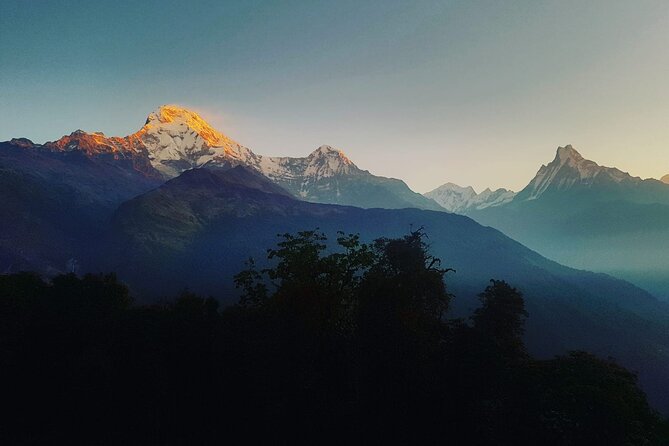 11-Day Hike Tour to Annapurna Base Camp Bliss in Kathmandu - Deurali day: rhododendron forests and Modi Khola pacing