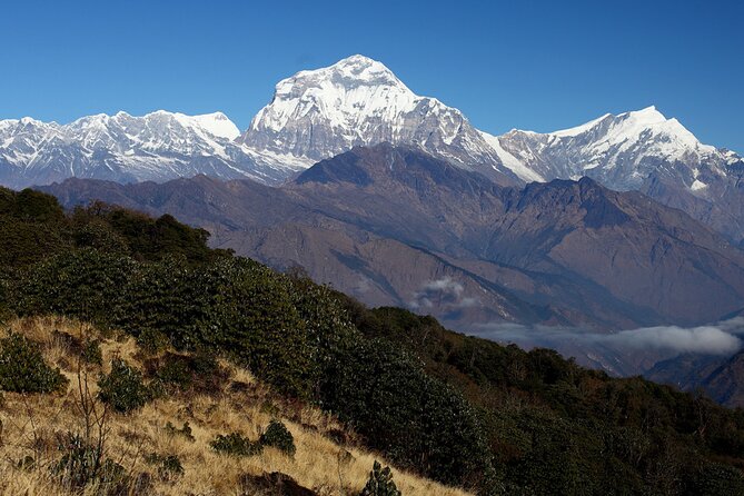 12-Day Nepal Adventure Trek with Jungle Safari - Safari activities: jungle walk, river-crossing safari, stick dance, and birdwatching