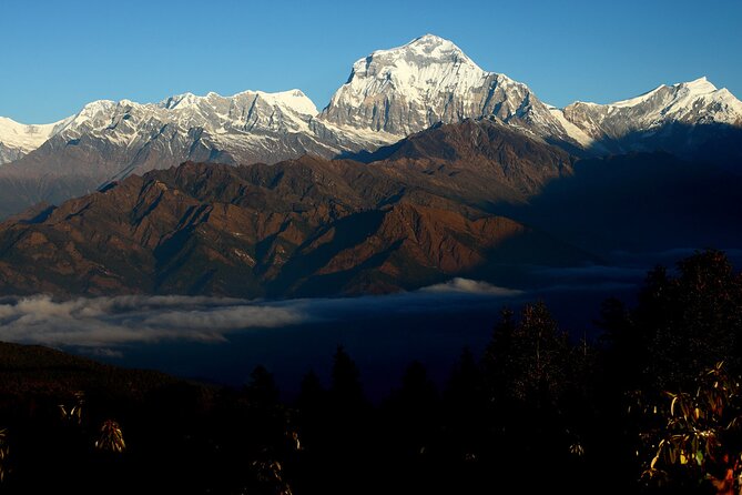12-Day Nepal Adventure Trek with Jungle Safari - Price and value: what your $950 covers and what to budget separately