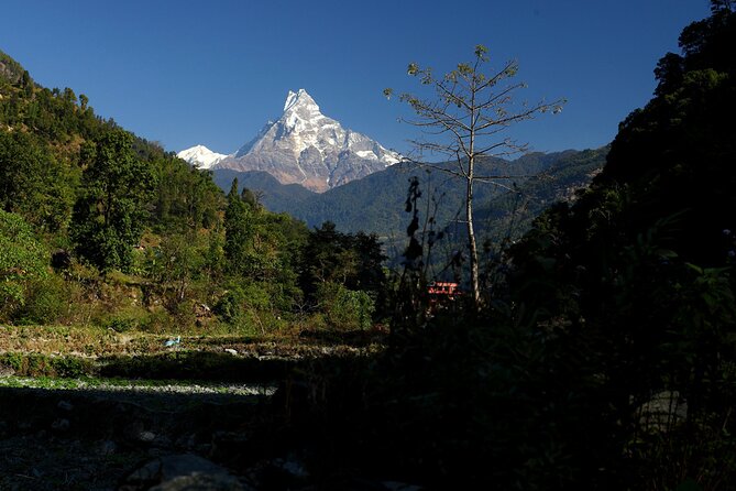 12-Day Nepal Adventure Trek with Jungle Safari - Ghorepani and the Poon Hill sunrise payoff