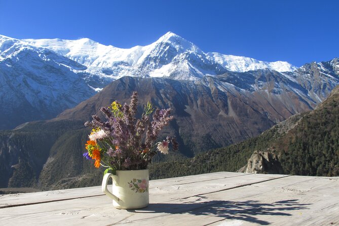 15-Day Private Annapurna Circuit Trek from Kathmandu - Manang Acclimatization: Your Safety Buffer Before Thorong La