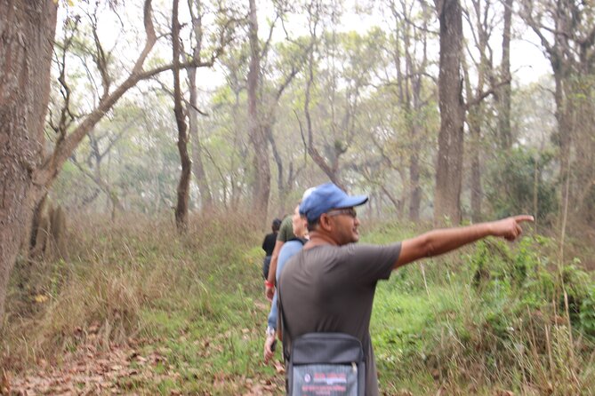 3-Day Chitwan National Park Jungle Safari Tour Package with Pick Up - Price and what you actually get for $180
