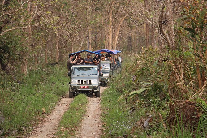 3-Day Chitwan National Park Jungle Safari Tour Package with Pick Up - Day 3: Bird watching, then back to Kathmandu