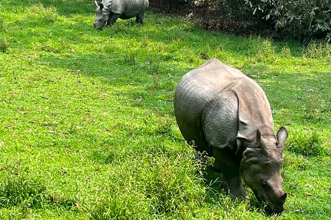 3-Day Guided Safari Tour in Chitwan National Park in Nepal - From Kathmandu to Chitwan: the ride that actually matters