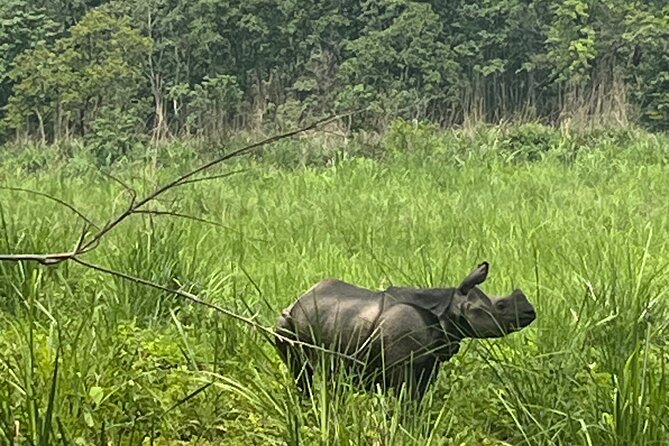 3-Day Guided Safari Tour in Chitwan National Park in Nepal - Day 1: Tharu village culture, jeep safari thrills, and an evening show