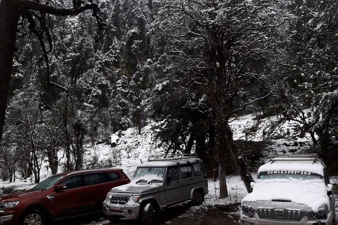 3 Days Kalinchowk Trekking from Kathmandu - A Short Kalinchowk Trek That Actually Feels Manageable