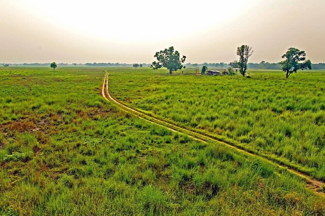 3 Nights 4 Days Chitwan National Park with Tower Night Stay - Getting from Kathmandu: long ride, real-life expectations