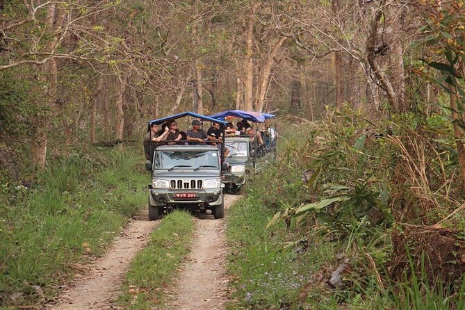 3 Nights 4 Days Chitwan National Park with Tower Night Stay - The full-day jeep safari and jungle walking rhythm