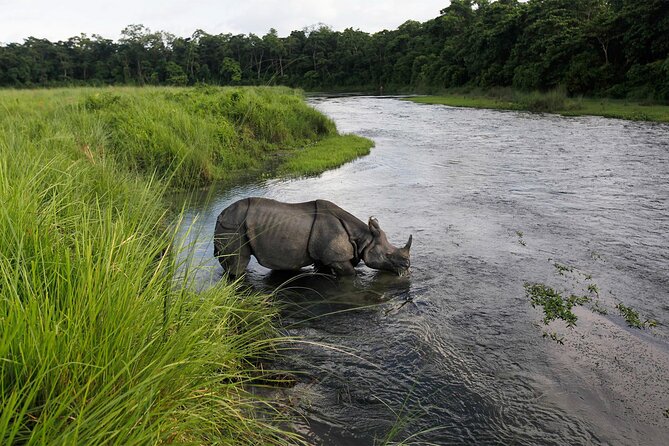 3 Nights 4 Days Chitwan National Park with Tower Night Stay - Where the Tharu culture show fits (and why it’s worth your attention)