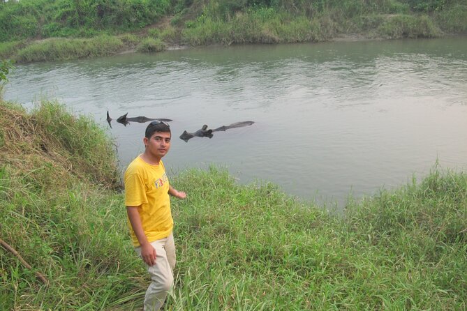 3 Nights 4 Days Chitwan National Park with Tower Night Stay - Food, timing, and group size: does it feel organized?