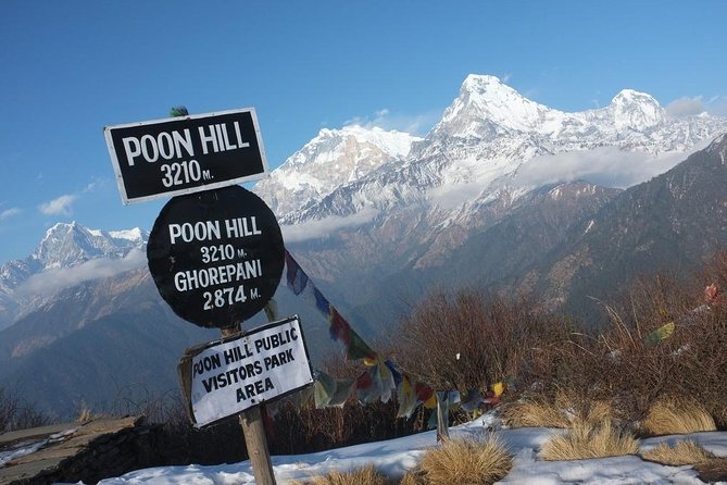 4-day Poon Hill Trek - Guides and porters: the reason this trek feels easier