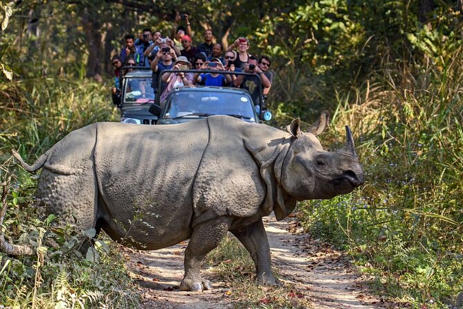 8 Days Tour in Nepal (4 Star Accommodation) - Thamel First Night: Lodging, Location, and Why It Sets You Up