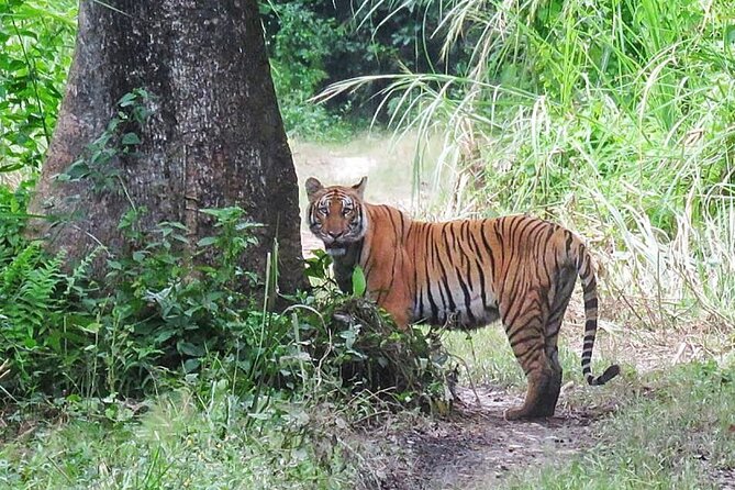 8 Days Tour in Nepal (Accommodation at 5 Star Hotel) - Why Kathmandu–Chitwan–Pokhara works in one trip