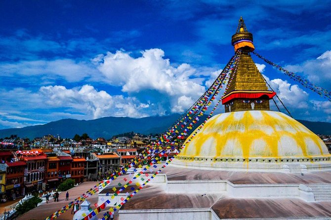 8 Days Tour in Nepal - Kathmandu, Chitwan & Pokhara (3 & 4 Star) - Days 3–4 in Chitwan National Park: the safari day that’s the heart of the trip