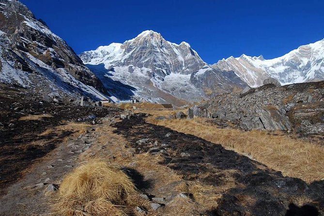 Annapurna Base Camp, Nepal 10 days - Practical Comfort: Teahouses, Cold Mornings, and Power Struggles