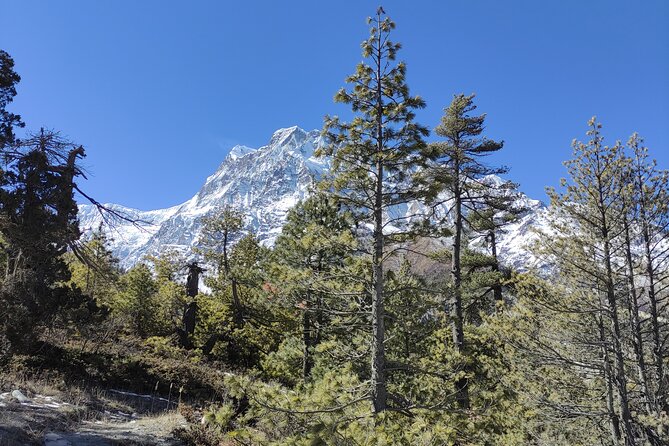 Annapurna Base Camp Trek - 10 Days - Key things that make this Annapurna Base Camp trip work