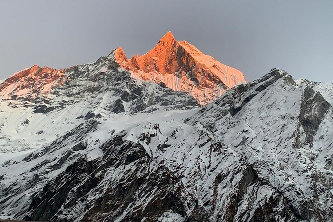 Annapurna Base Camp Trek 12 Days - Value Check: What the $800 Covers on an ABC Adventure