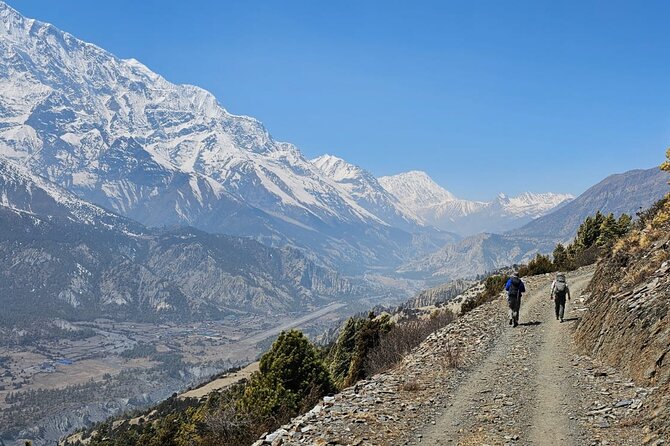 Annapurna Circuit Trek with Tilicho Lake (16 Days) - Lodging and food: what teahouses get right, and what you must plan
