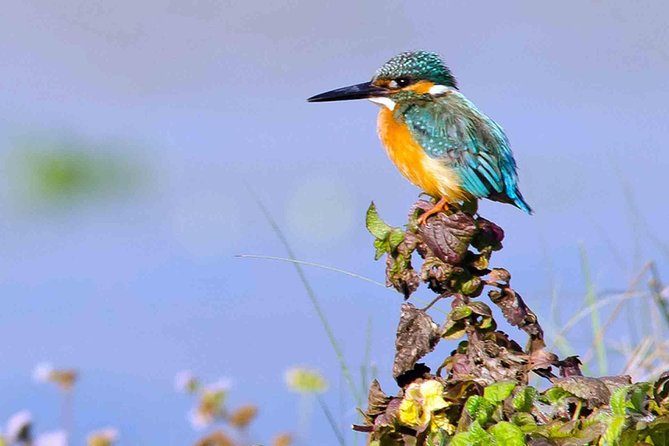 Best of Nepal Luxury Adventure Tour Package - 9 Days - Key Highlights You’ll Actually Feel On This Trip
