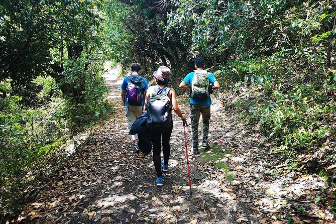 Chisapani - Nagarkot Trek Nepal - 3 Days - Day 3: Nagarkot ridge walk to Changu Narayan Temple (ancient history included)