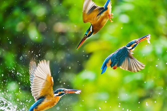 Chitwan 2 Nights All Inclusive Jungle Safari Tour - Day 1 Route Stops: Thankot and Narayanghat as Your Chitwan Warm-Up