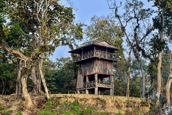 Chitwan Jungle Safari 3-Day Tour - Chitwan National Park in three days: what you’re really signing up for