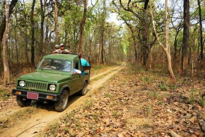 Chitwan Jungle Safari 3-Day Tour - Kathmandu pickup and the drive to Chitwan: starting at 6:30am