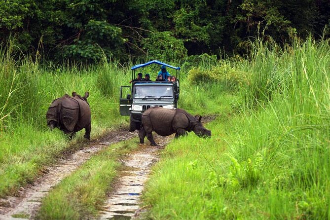 Chitwan Jungle Safari 3-Day Tour - Small-group pace and your guide: how it affects your spotting chances