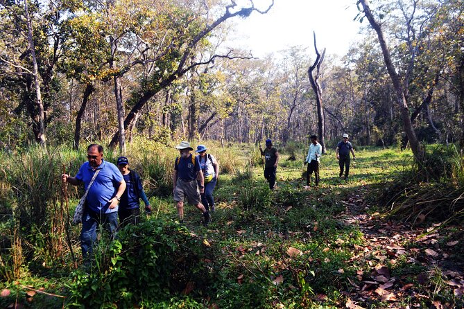 Chitwan Jungle Safari 3-Day Tour - Hotel reality in Chitwan: 3-star comfort with a nature-friendly feel