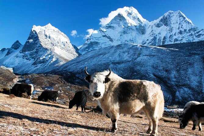 Everest Helicopter Tour - Key Highlights You’ll Actually Feel
