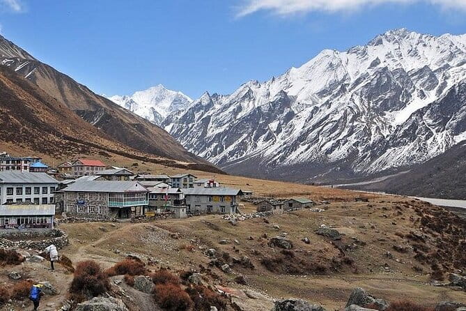 Explore The Beauty Of Langtang Valley In 8-Days Trek - Guides and support: the human edge you’re paying for