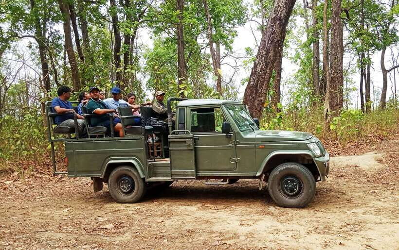 From Kathmandu/Pokhara: 2, 3, or 4-Day Chitwan Jungle Safari - Where you’ll sleep: Hotel Rainforest vs. the jungle tower