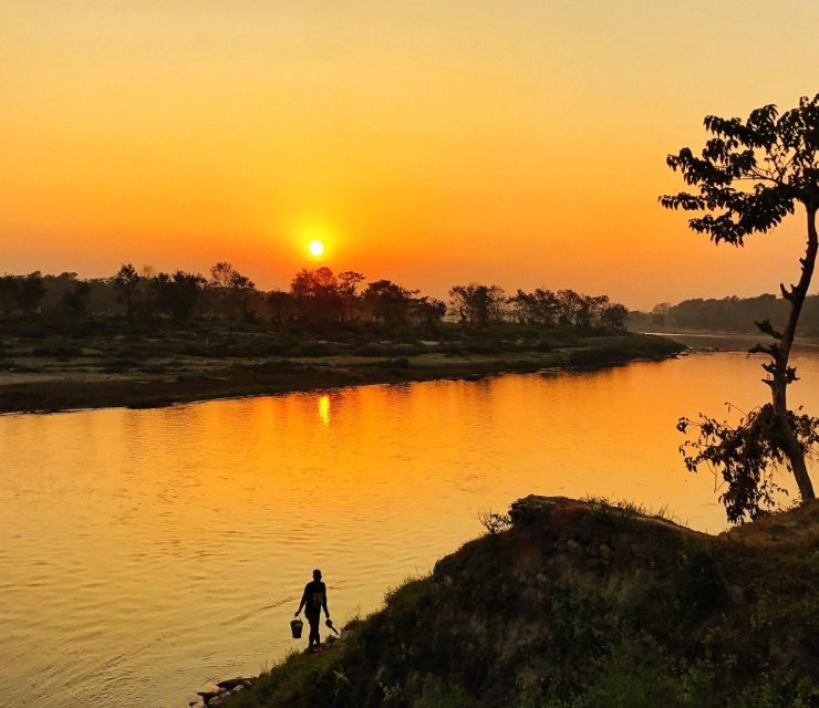 From Kathmandu/Pokhara: 3-Day All-Inclusive Chitwan Safari - Key Things I’d Focus On Before You Go