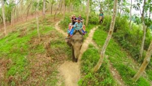 From Kathmandu/Pokhara: 3-Day All-Inclusive Chitwan Safari - Price and Value: What $149 Really Covers