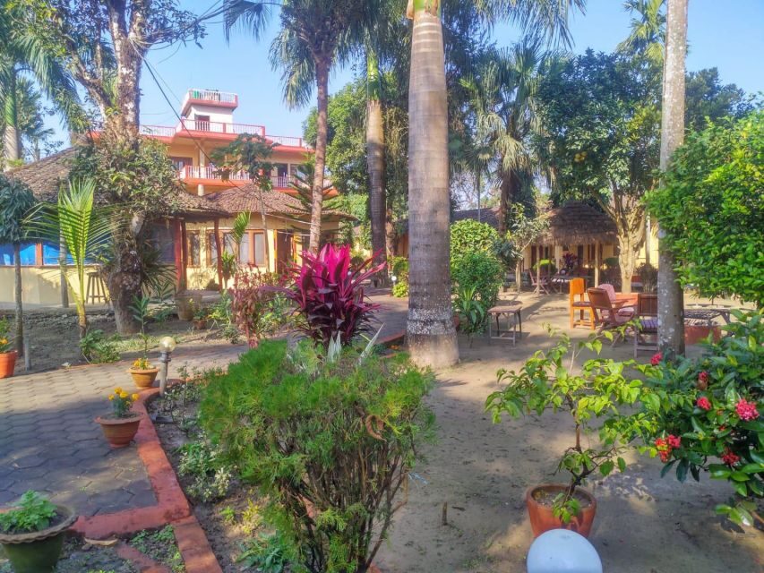 From Kathmandu/Pokhara: 3-Day All-Inclusive Chitwan Safari - Day 3: A Calm Morning and the Bus Back Home