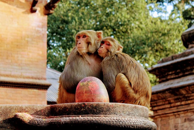 Full Day Private Tour of Kathmandu - UNESCO World Heritage Sites - Kathmandu Durbar Square: Traditional Architecture from the 17th and 18th Centuries