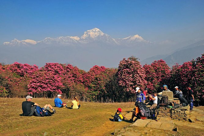 Ghorepani Poon Hill Trek - Poon Hill sunrise at 3,210 m is the whole point