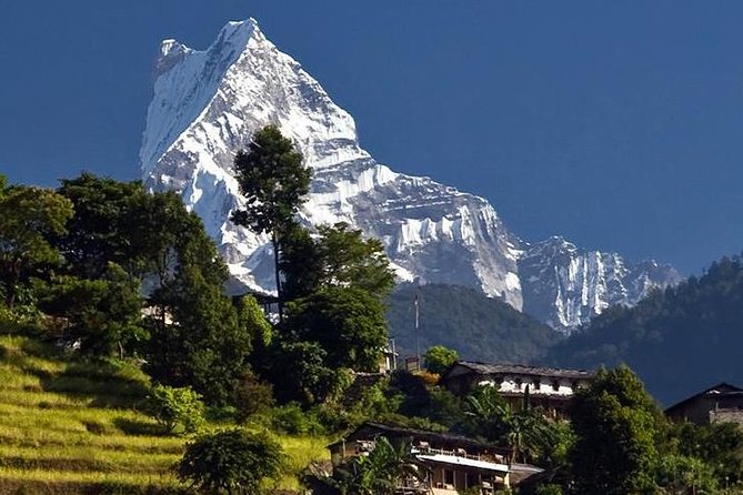 Ghorepani Poonhill Trek -8 Days - Day 6: Easy Descent and Ghandruk Village Time