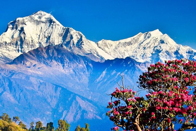 Ghorepani Poonhill Trek -8 Days - Day 7: Cable Car Detour and the Return to Kathmandu
