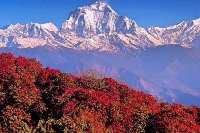 Ghorepani Poonhill Trek -8 Days - Day 1 in Kathmandu: Get Oriented Without Wasting Energy