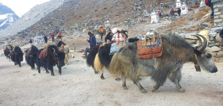 Kathmandu: 14-Day Everest Base Camp with Kala Patthar Trek - Lodges, meals, and the gear that makes cold feel manageable