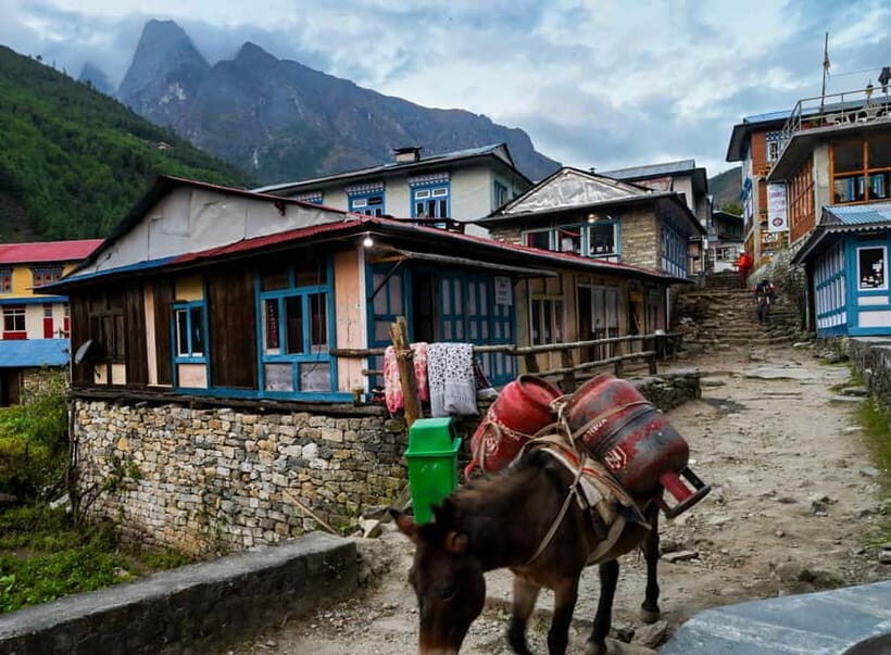 Kathmandu: 15-Day Everest Base Camp Trek with Guide - The Lukla Flight: The Start Gate to Sagarmatha National Park