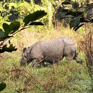 Kathmandu: 3-Day Chitwan Safari Tour with Hotel Transfers - Getting to Chitwan: hotel pickup, coach ride, and timing reality