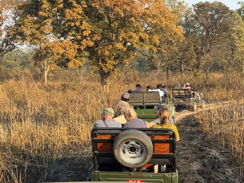 Kathmandu: 3-Day Chitwan Safari Tour with Hotel Transfers - Who should book this tour (and who should skip)