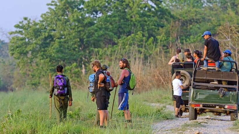 Kathmandu/Pokhara: 3 Day Chitwan Jungle Safari Tour - Wildlife viewing reality check: how to boost your chances (without getting obsessed)
