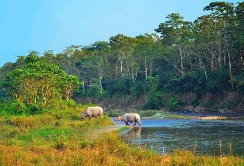 Kathmandu/Pokhara: 3 Day Chitwan Jungle Safari Tour - Food, guides, and the little things you’ll be glad were handled